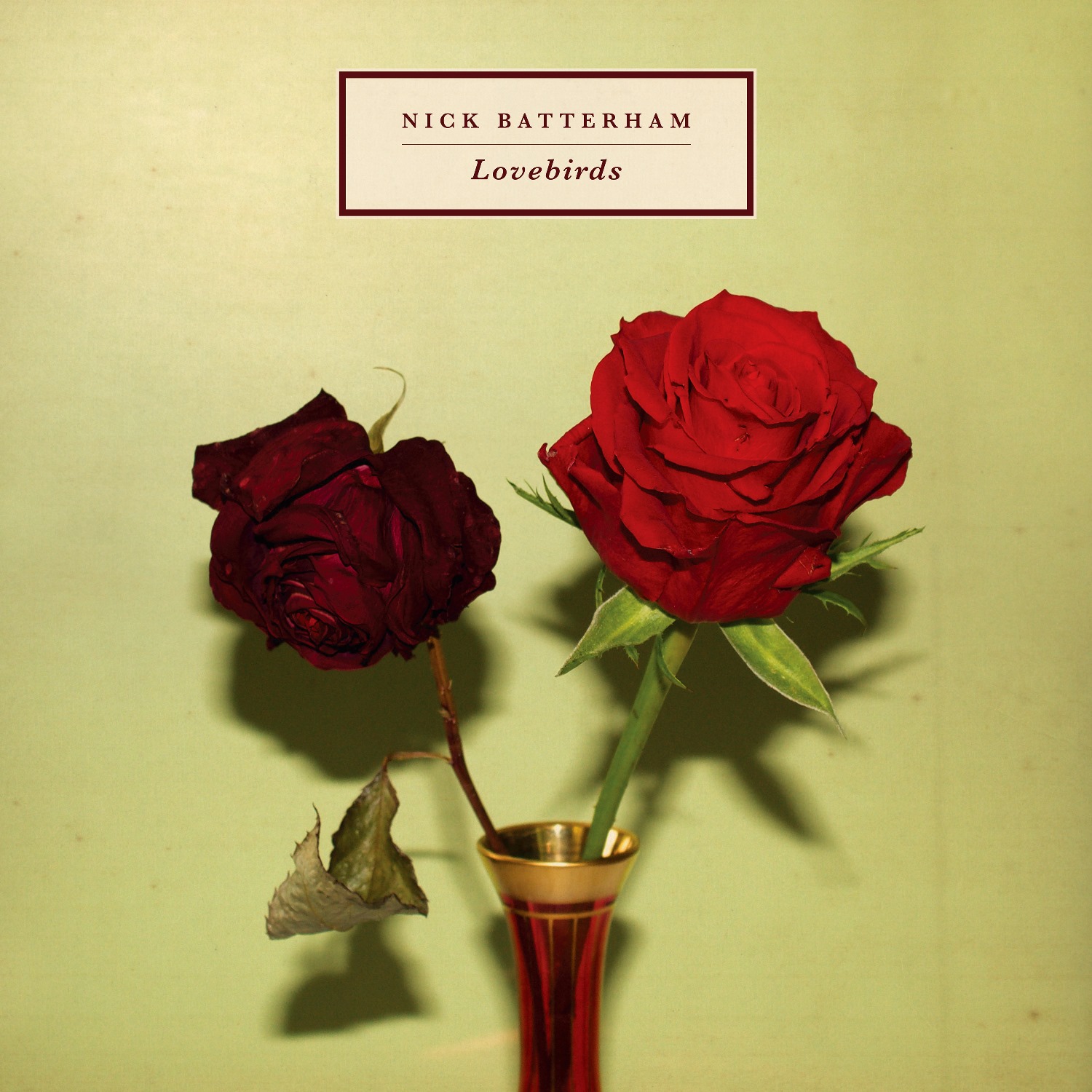 Nick Batterham - Lovebirds