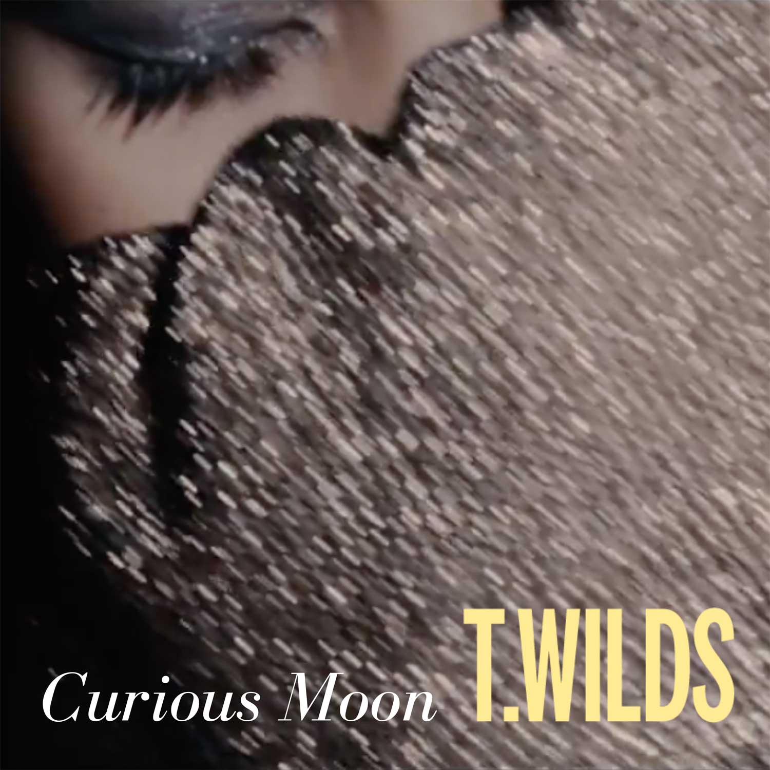 T. Wilds - Curious Moon