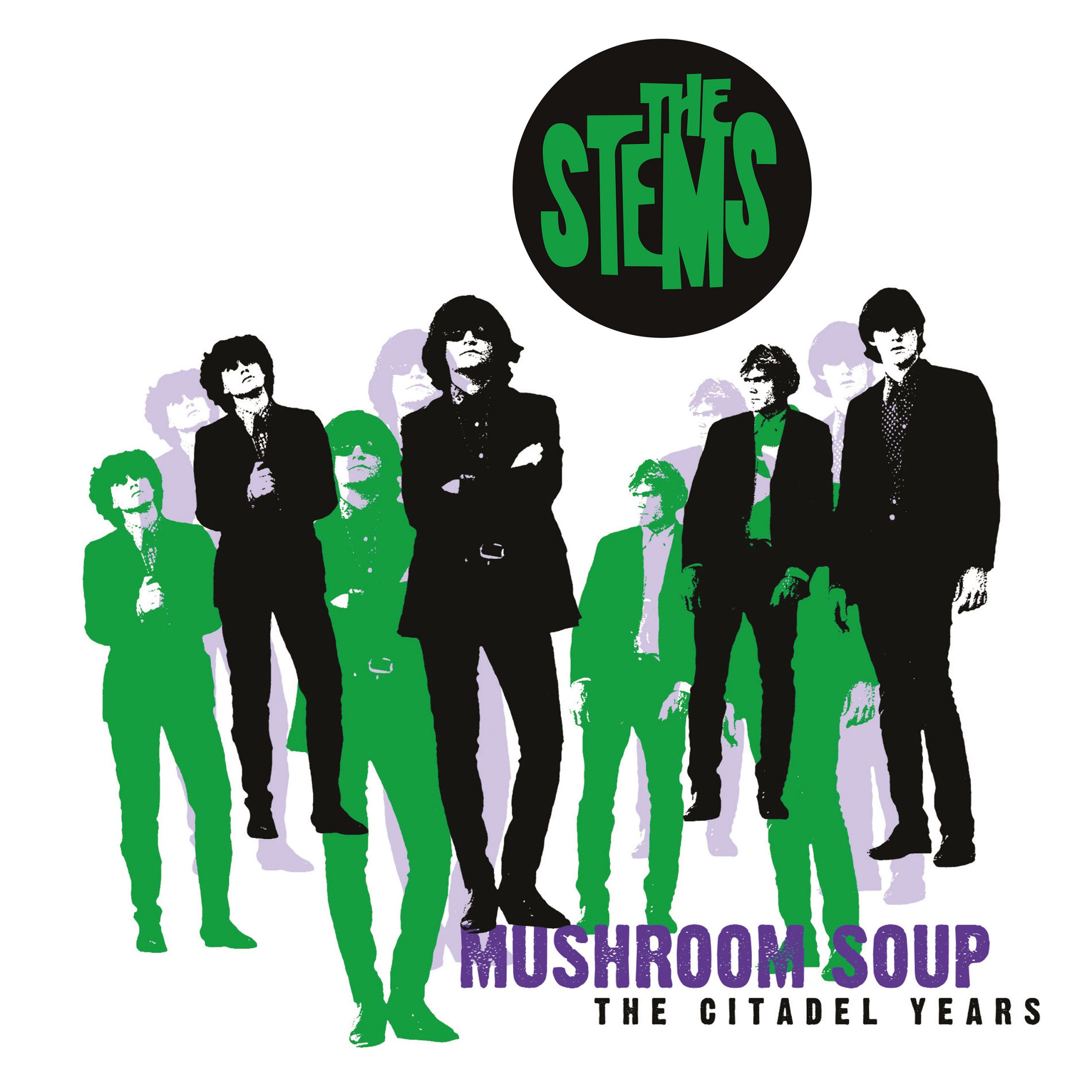 The Stems - Mushroom Soup