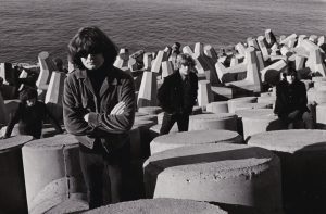 The Stems - Mushroom Soup