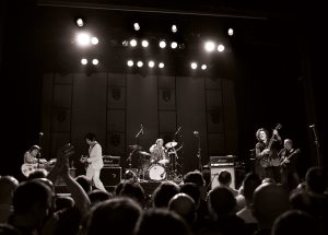 The Stems - Official Live Recording