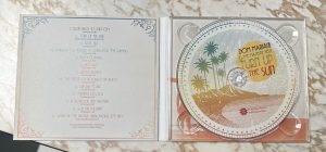 Dom Mariani & the Majestic Kelp - Turn Up The Sun