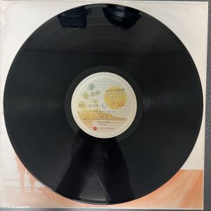Dom Mariani & the Majestic Kelp - Turn Up The Sun