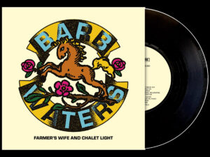 Barb Waters - Farmer's Wife and Chalet Light Barb Waters - Farmer's Wife and Chalet Light