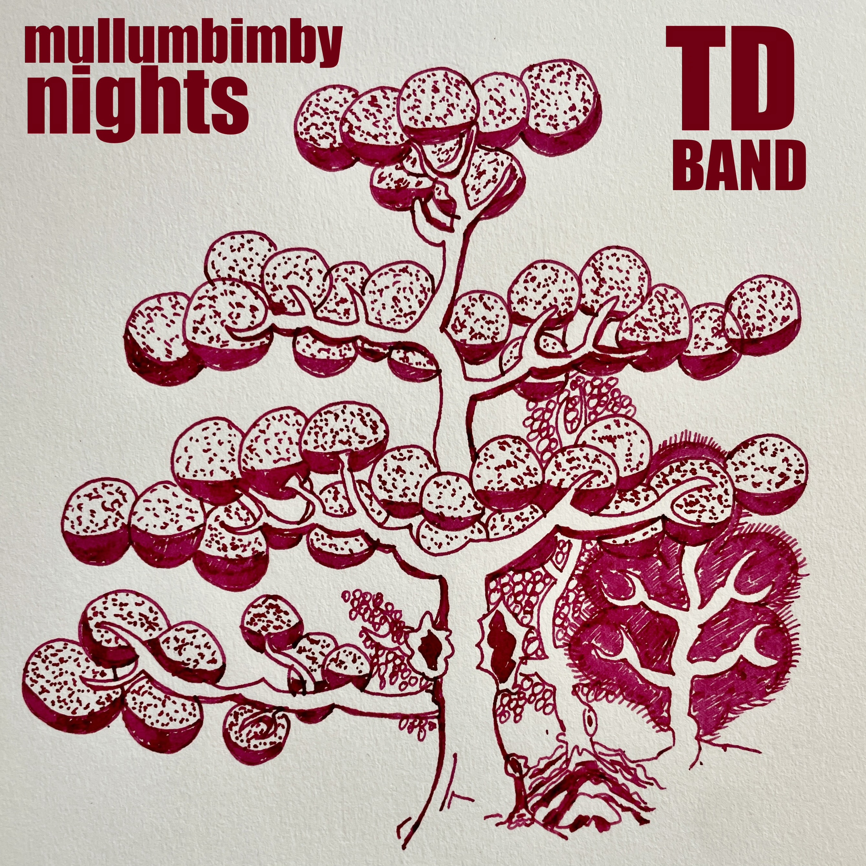 TD Band - Mullumbimby Nights TD Band - Mullumbimby Nights