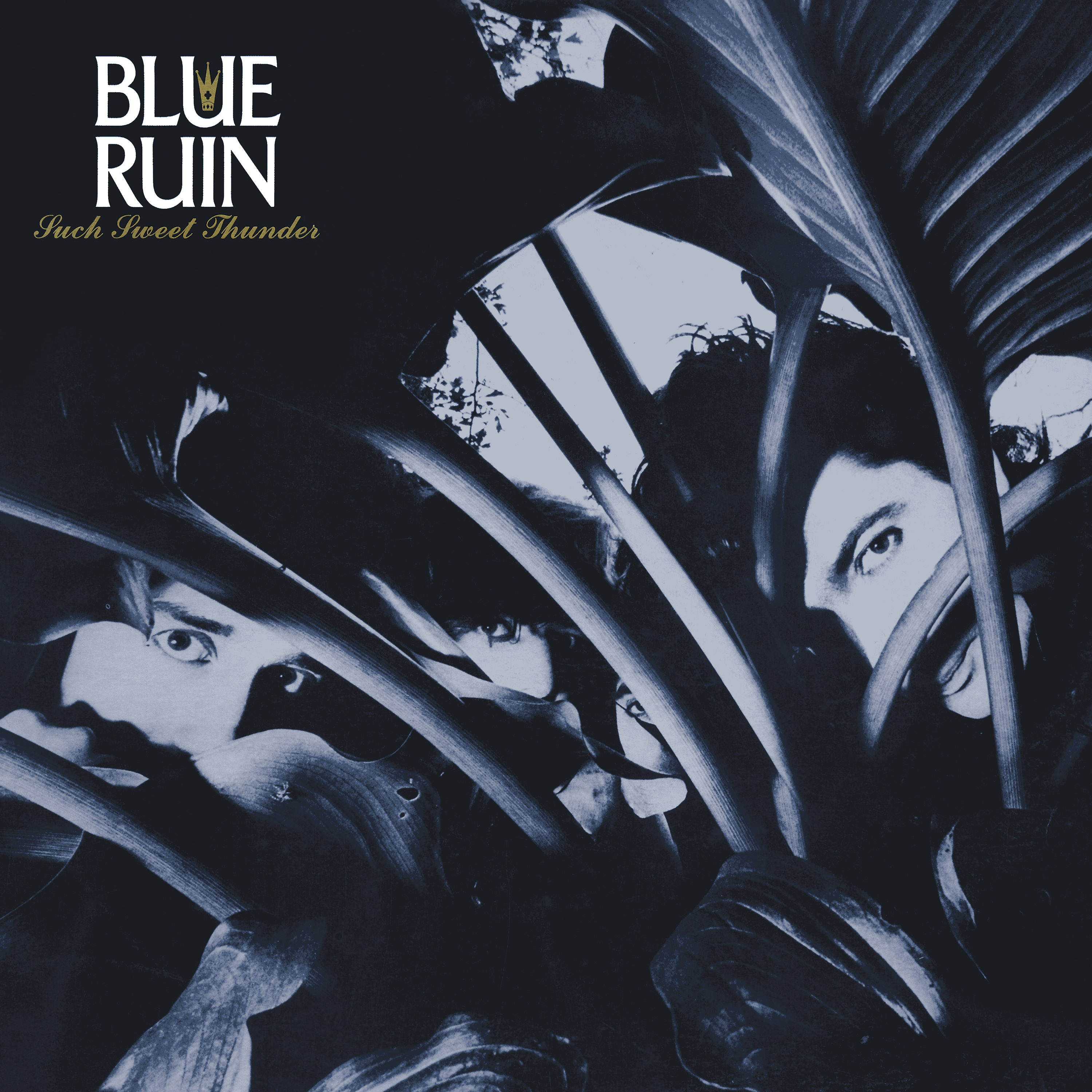 Blue Ruin - Such Sweet Thunder